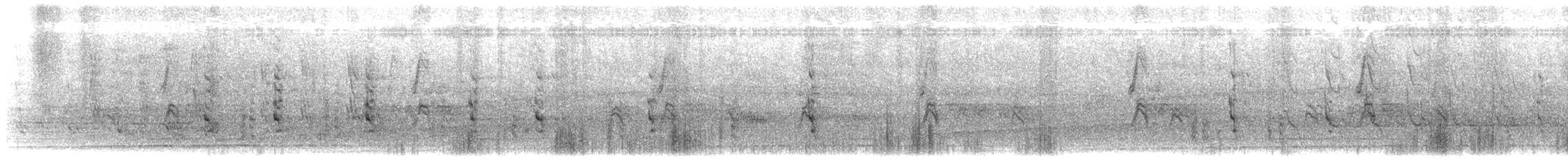 Peregrine Falcon (Australian) - ML643974876