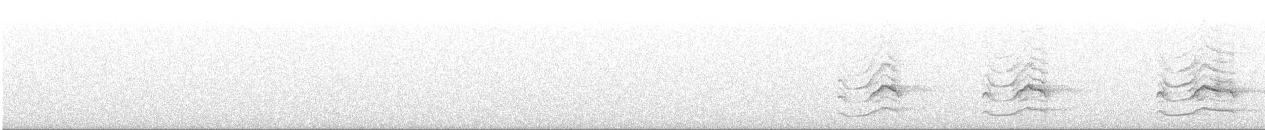 モリフクロウ - ML643974932