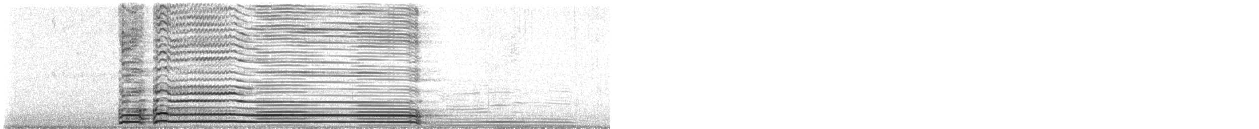 Gallo Bankiva (variedad doméstica) - ML643975119