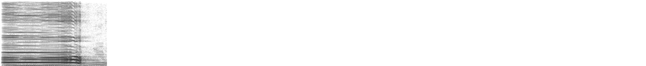 Gallo Bankiva (variedad doméstica) - ML643975120