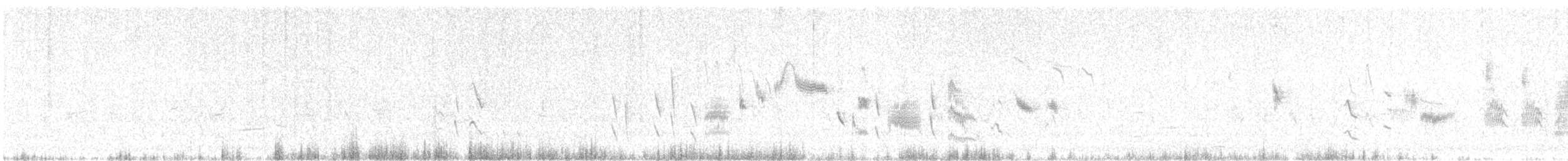 Txoka arrunta - ML643975990