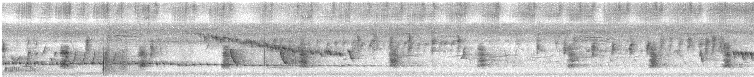 Latham's Snipe - ML643976080