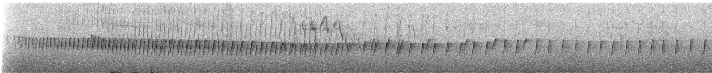 Western Rock Nuthatch - ML643977193