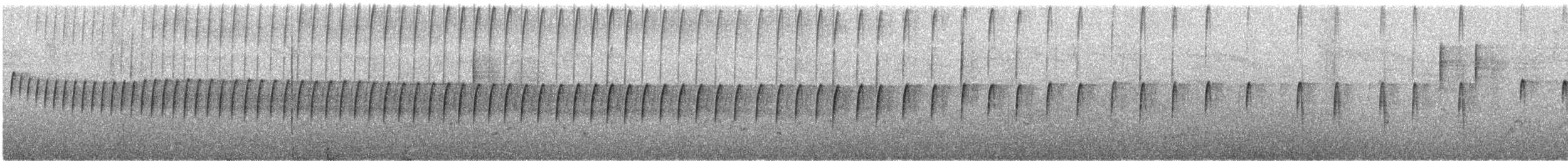 Western Rock Nuthatch - ML643977223