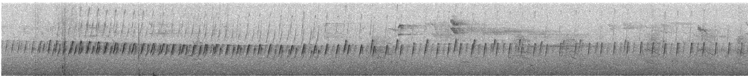 Western Rock Nuthatch - ML643977465