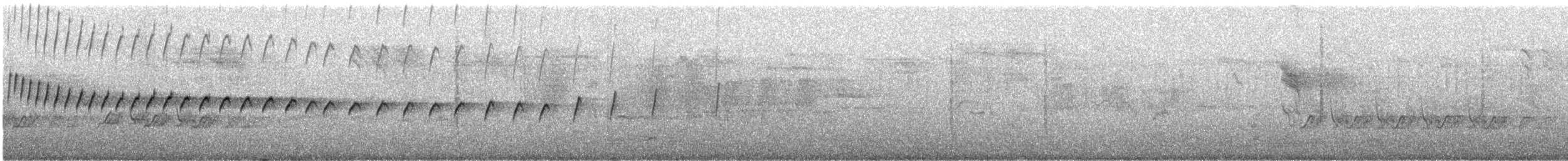 Western Rock Nuthatch - ML643977655