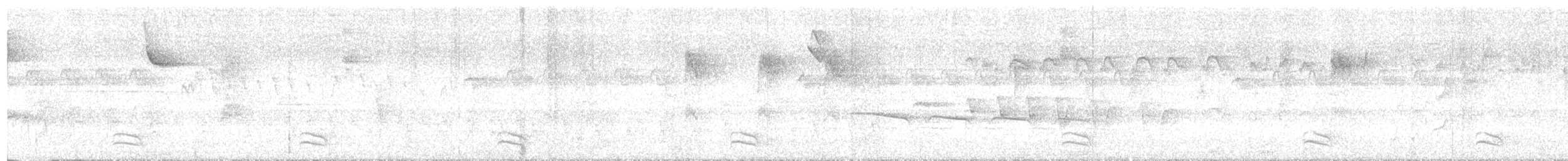 Variable Antshrike - ML643977772