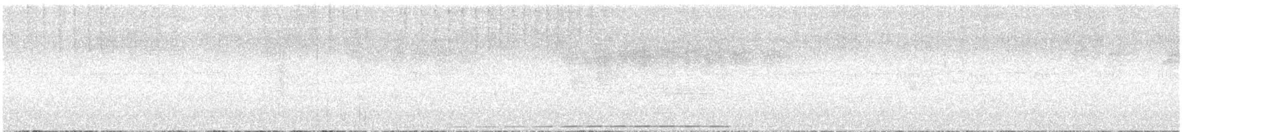 Variegated Antpitta - ML643977800