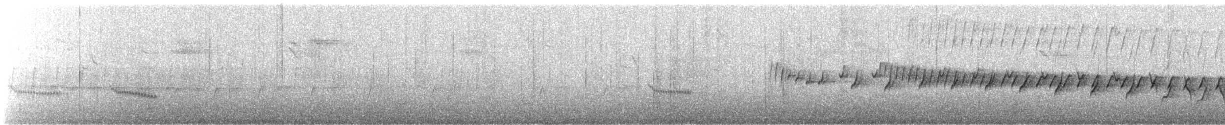 Western Rock Nuthatch - ML643977861