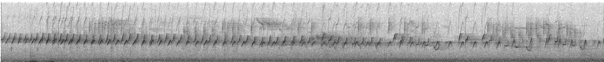 Western Rock Nuthatch - ML643978342
