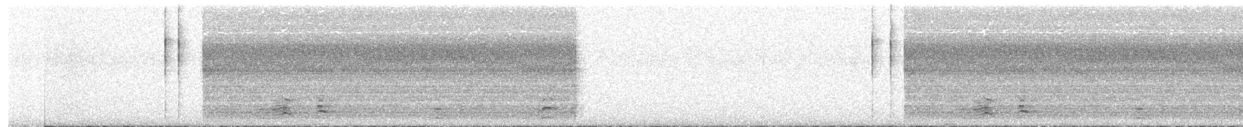 Cackling Goose - ML643978627