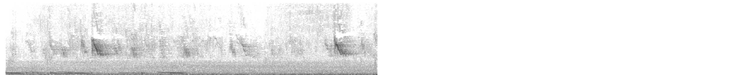 カワラバト（ドバト、家畜型） - ML643978778