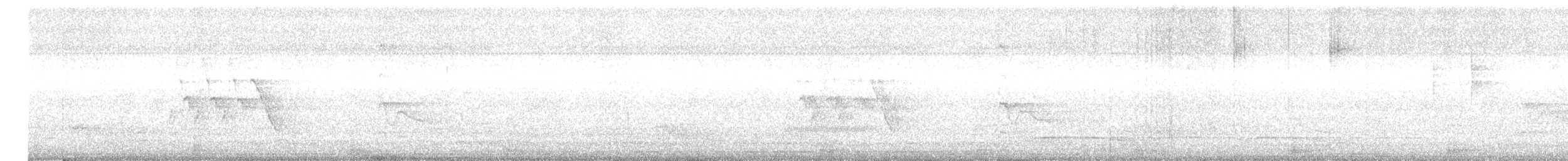 skjæreerle - ML643979643