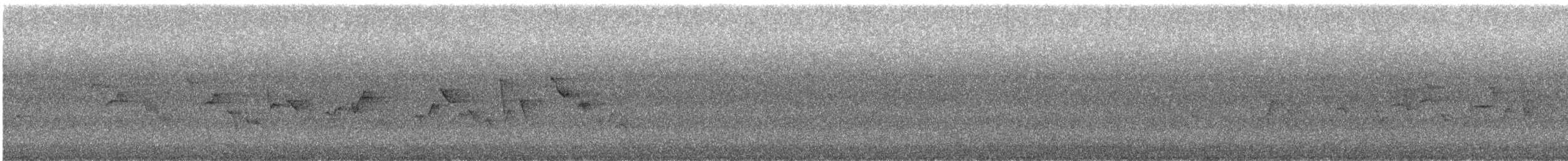 Lompobattang Leaf Warbler - ML643980604