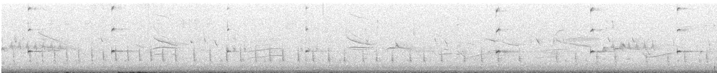Cactus Wren - ML643981501