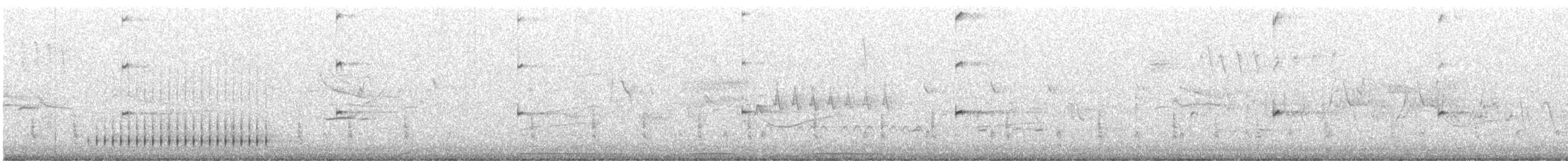 Nuttall's Woodpecker - ML643981542