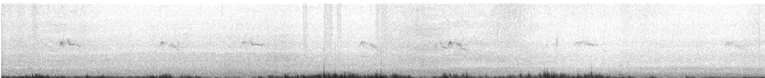 Black Phoebe - ML643981593