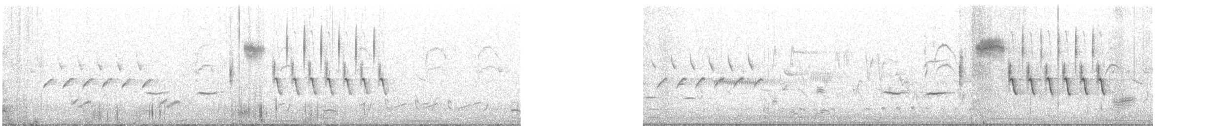 Buschzaunkönig - ML643981629