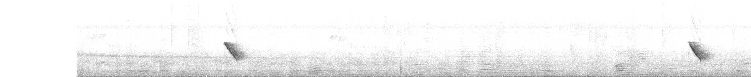 Common Tailorbird - ML643983047