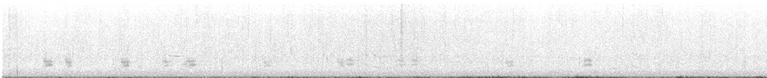 Gadwall - ML643983099