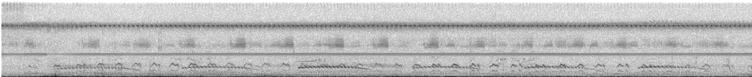 Ash-throated Crake - ML643983755