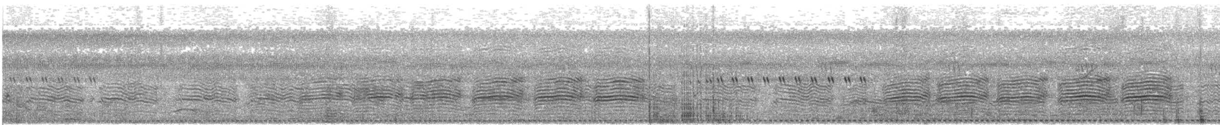 Barred Buttonquail - ML643984048