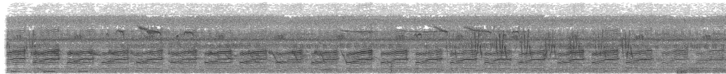 Large Gray Babbler - ML643984138