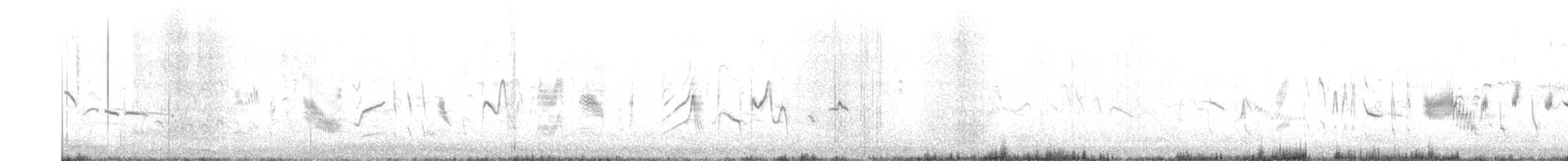 Txoka arrunta - ML643984293