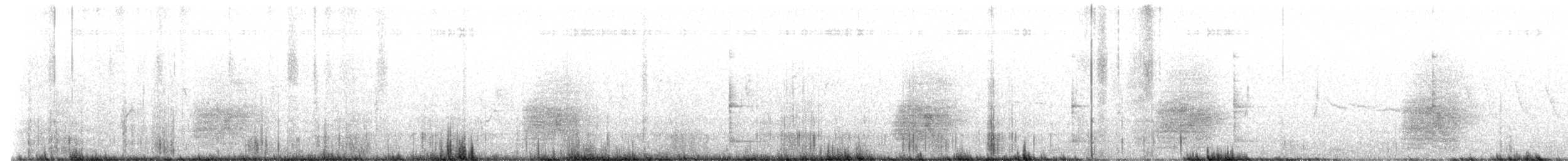 サンタクルスカケス - ML643985176