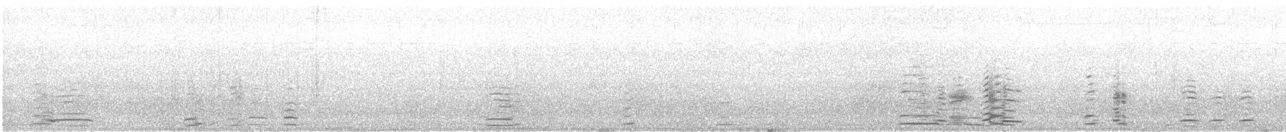Whooper Swan - ML643985674