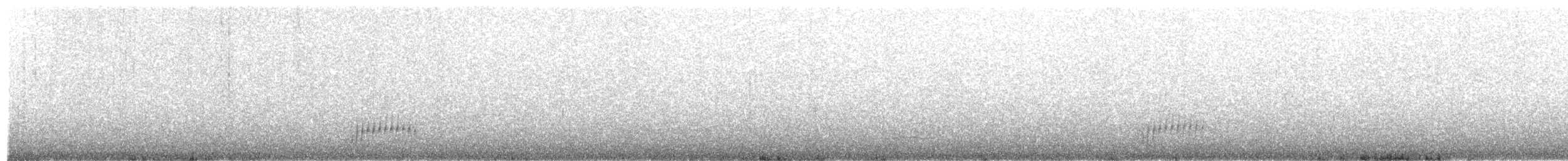 Small-headed Elaenia - ML643986306