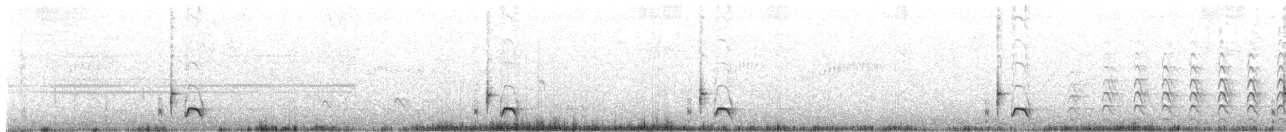 Troglodyte à long bec - ML643986353