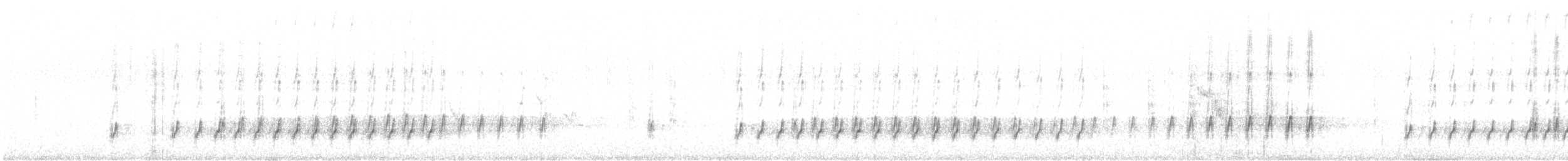 Büyük Kaya Sıvacısı - ML643986528