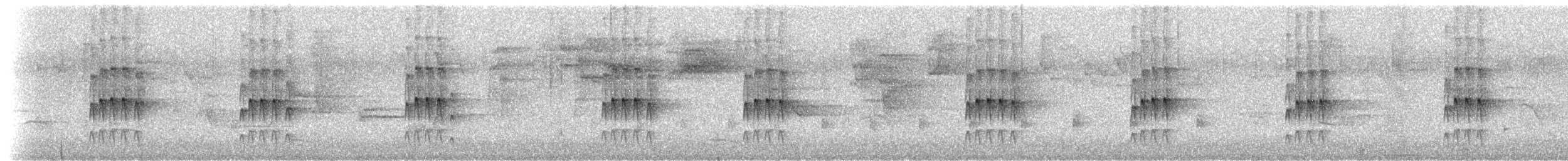 Trilling Tapaculo - ML643987862
