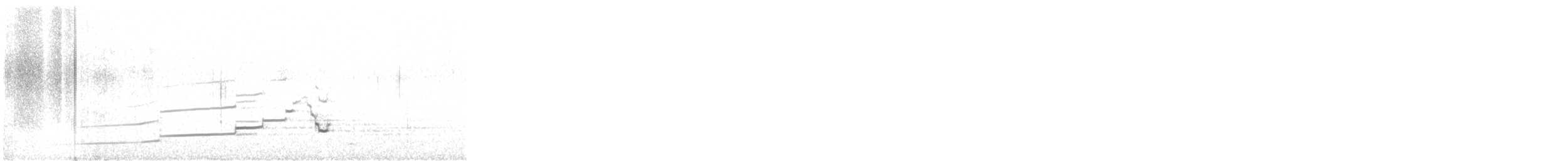 Perdigallo Caucasiano - ML643988177