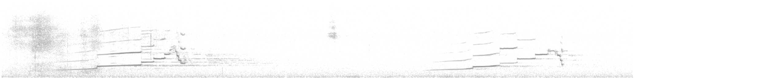 Perdigallo Caucasiano - ML643988178