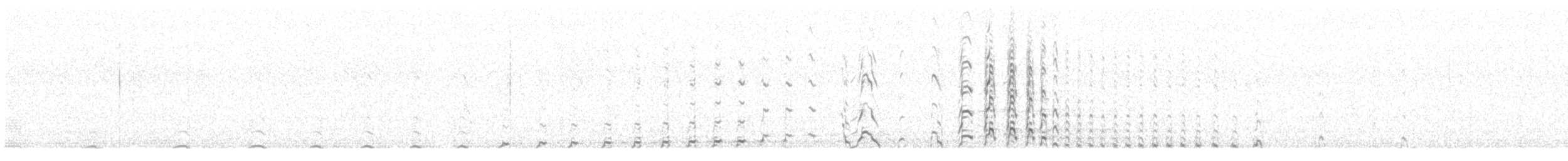 Perdigallo Caucasiano - ML643988179