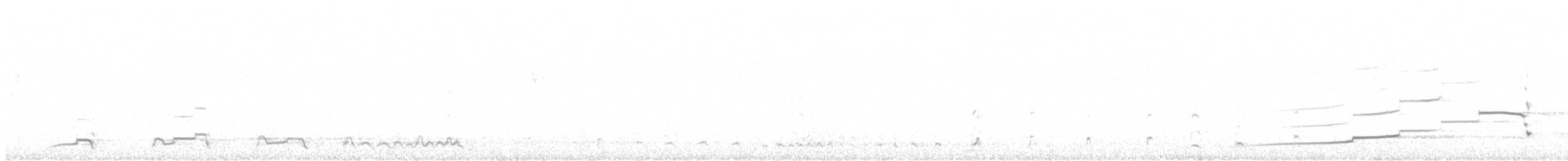 Perdigallo Caucasiano - ML643988180