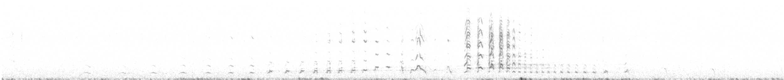 Perdigallo Caucasiano - ML643988181