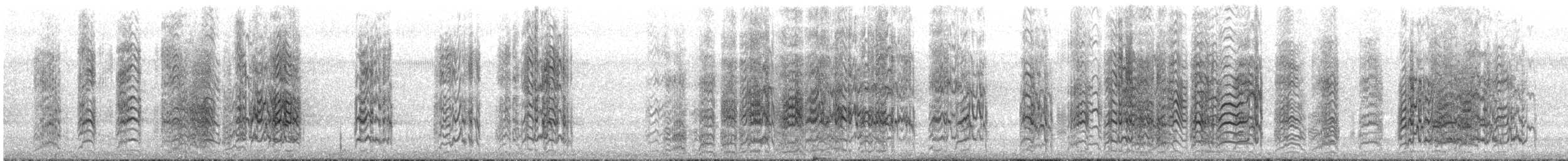 Sittich, unbestimmt - ML643988297