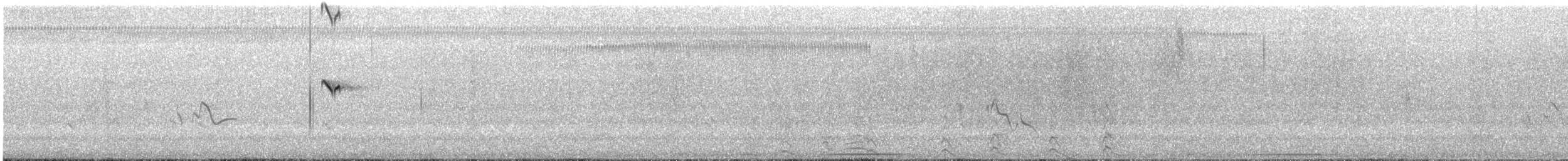 Moucherolle à tête blanche - ML643988692