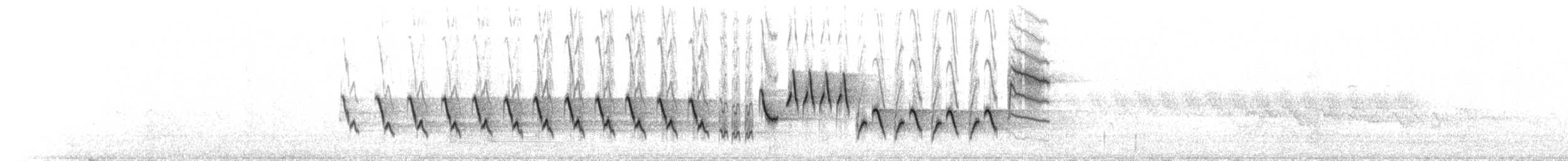 Papamoscas Boreal - ML64398911