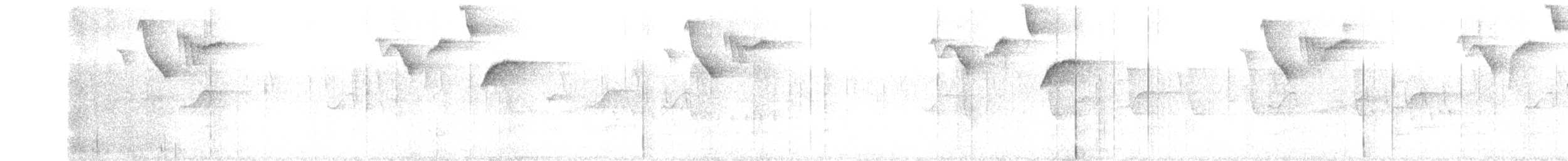 White-browed Brushfinch - ML643990728