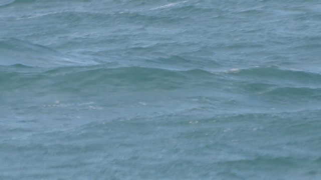 havlire - ML643990736