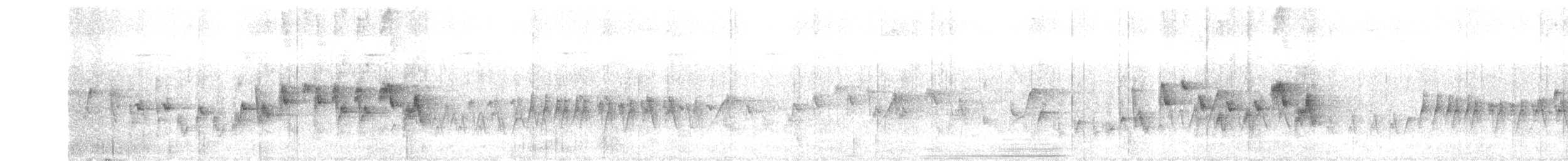 Two-banded Warbler - ML643990761