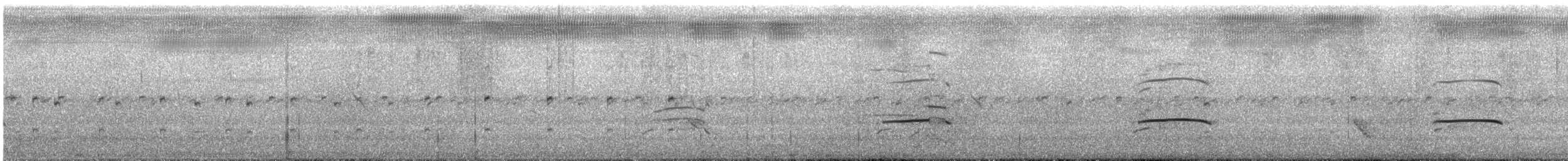 Black-collared Hawk - ML643991031