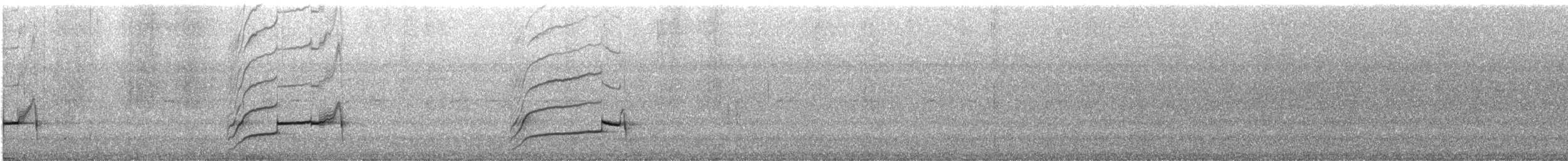 glattnebbani - ML643992028
