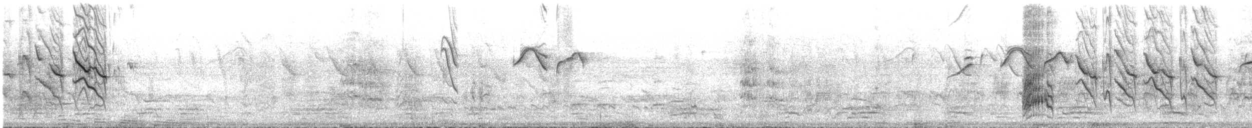 ハイガシラソライロフウキンチョウ - ML643992040