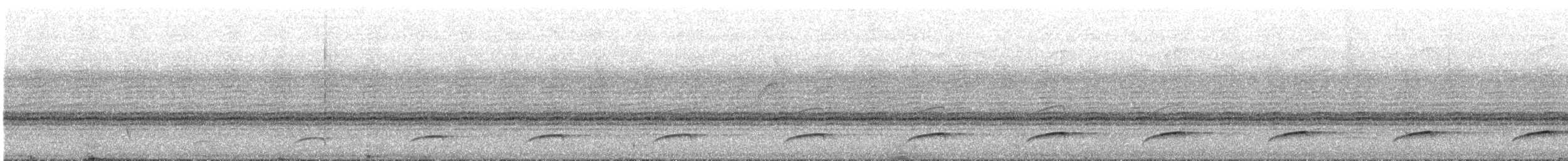 Dull-capped Attila - ML643993545