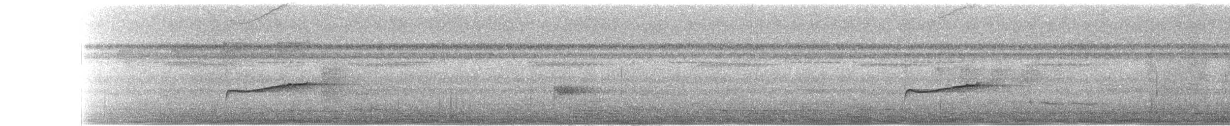 Eastern Wood-Pewee - ML643993653